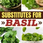 Basil Substitutes