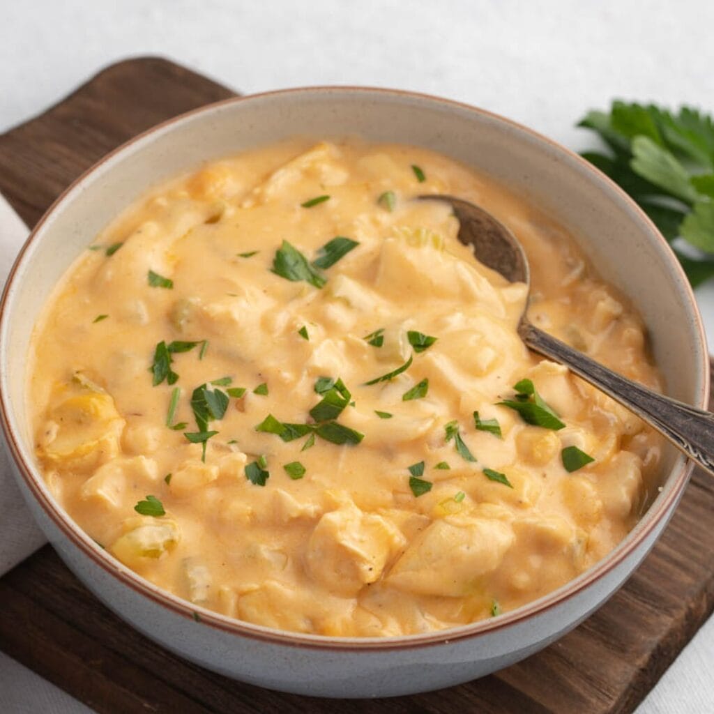 Tazón de sopa de pollo Buffalo casera