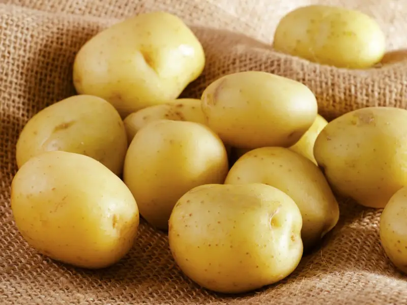 Patatas blancas redondas encima de un saco de tela rústica
