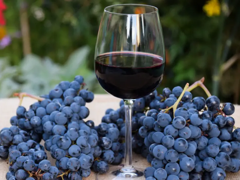 Racimo de uvas frescas y una copa de vino Malbec