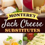 Sustitutos del queso Monterey Jack