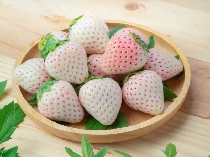 나무 쟁반에 하얀 딸기
