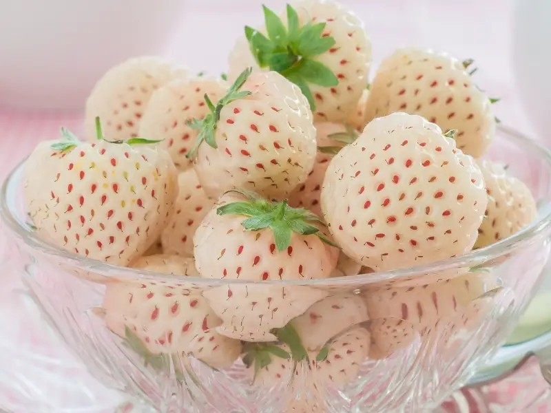 Ama-strawberry amhlophe avuthiwe endishini yengilazi