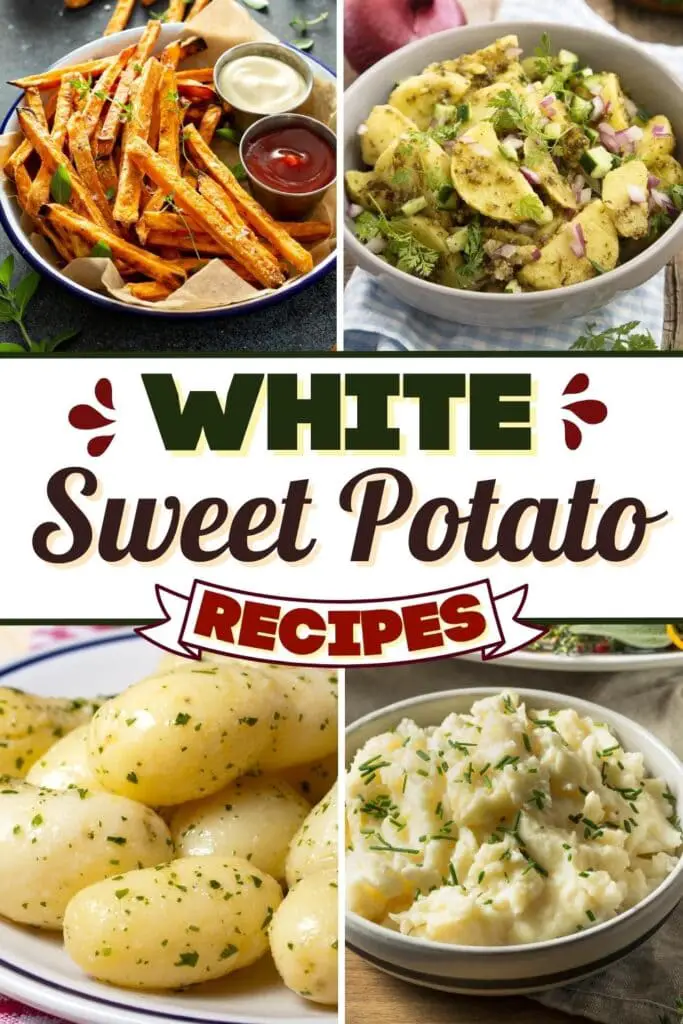 Reasabaidhean White Sweet Potato